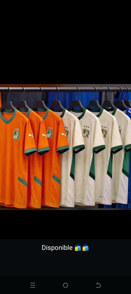Maillot Côte d'Ivoire Puma