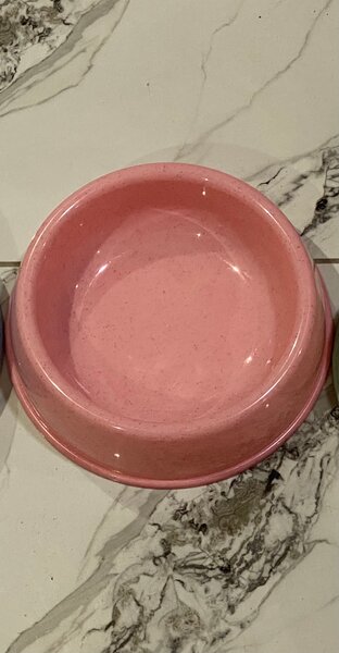 Gamelle pour animaux rose