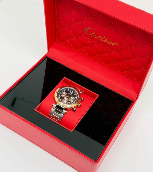 Montre de luxe en acier inoxydable