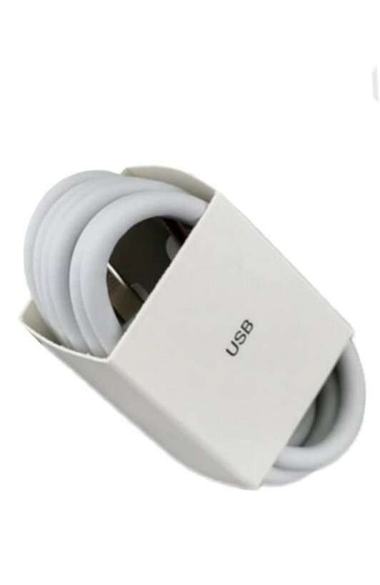 Vivo Original Charger