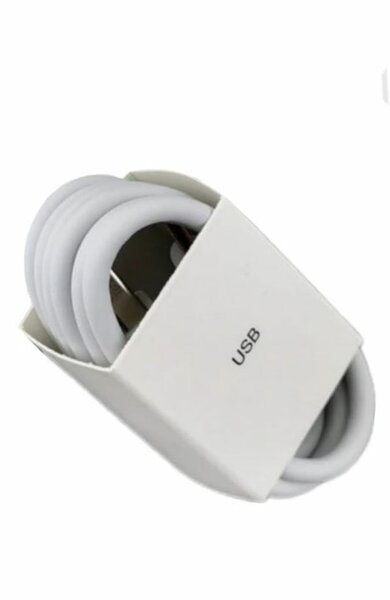 Vivo Original Charger