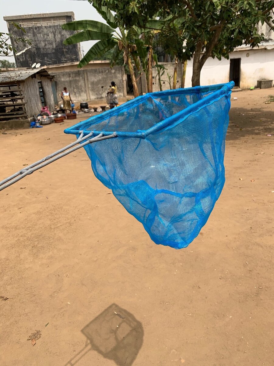 Epuisettte pour larve alvins