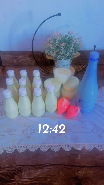 Yaourt Frais Maison en Bouteille