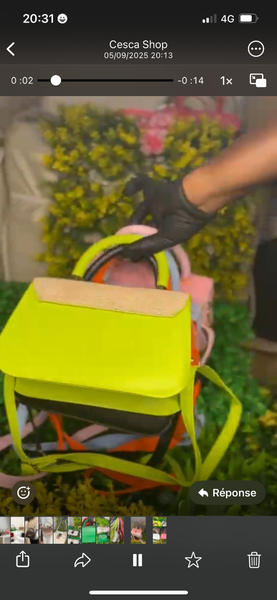 Sacs à Main Élégants