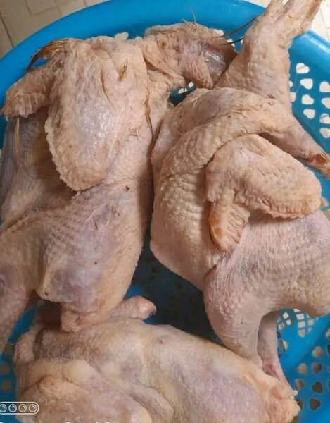 Poulet frais prêt à cuire