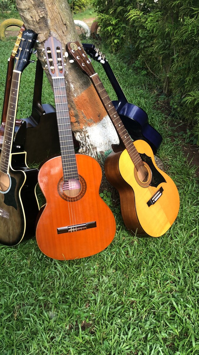 Guitare classique et acoustiqu
