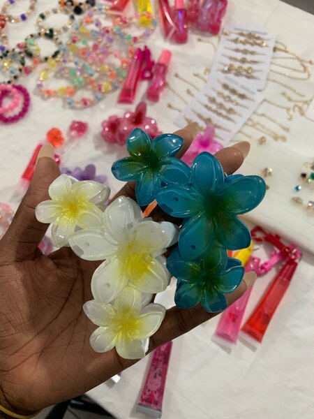 Pinces à cheveux fleurs colorées