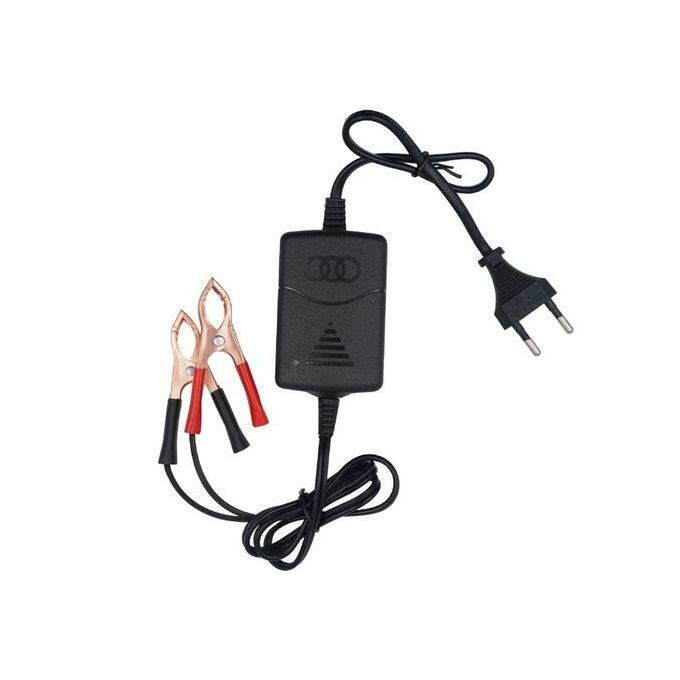 Chargeur de bactéries de voitures, tracteurs, motos