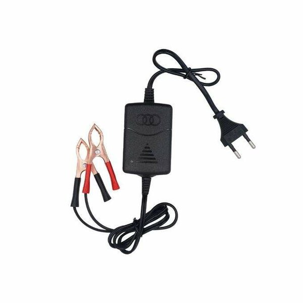 Chargeur de bactéries de voitures, tracteurs, motos