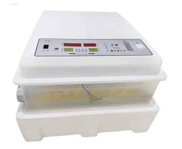 Incubateur d'œufs automatique