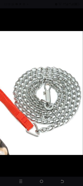 Laisse en chaîne robuste