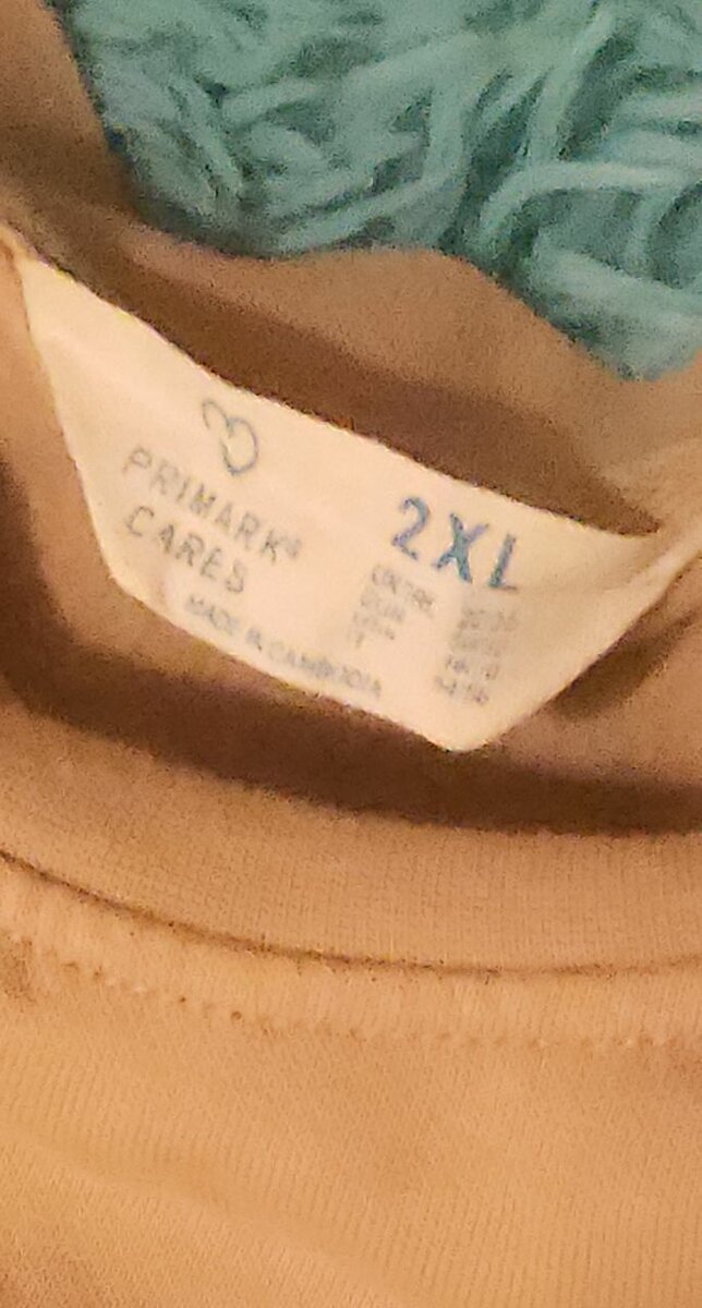 Sweatshirt beige grande taille