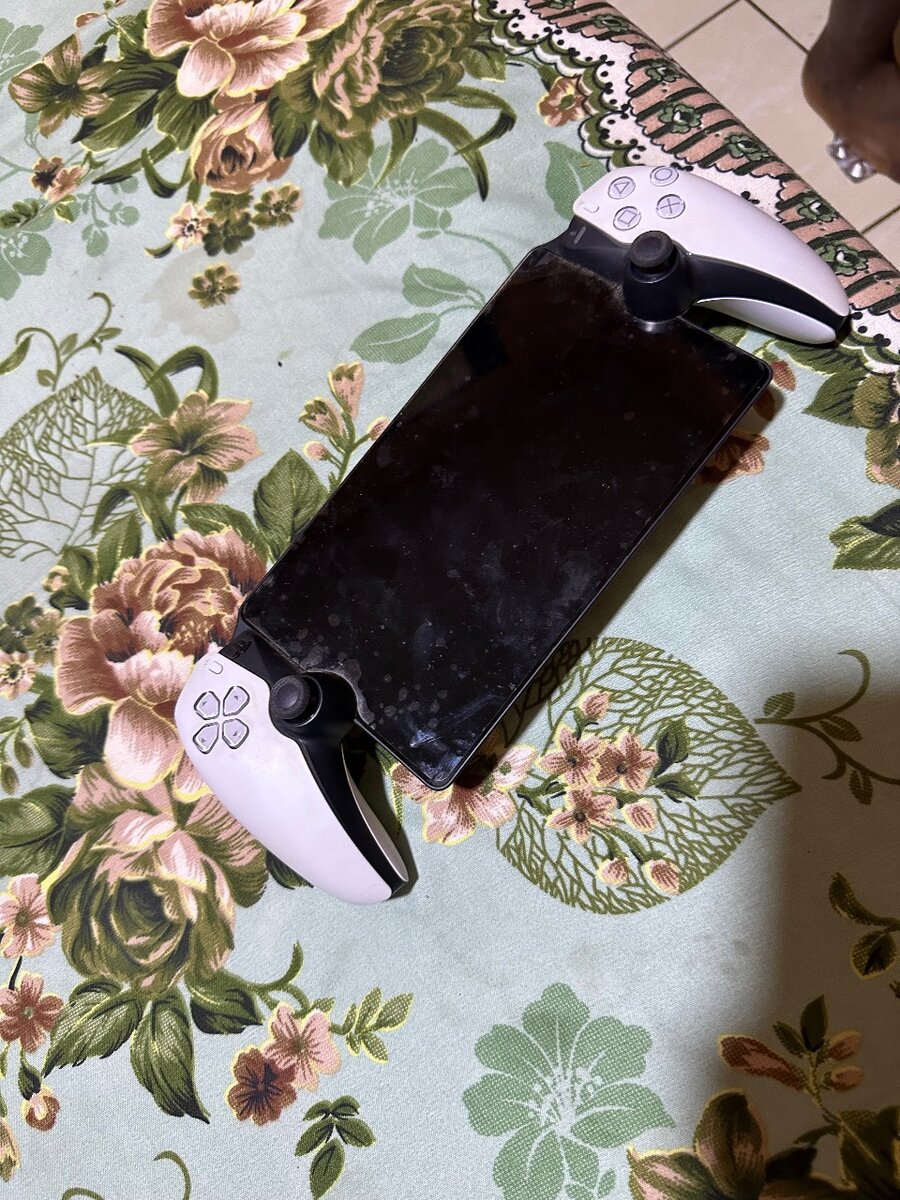 PlayStation portable