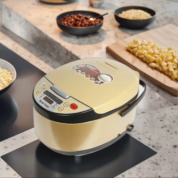 Multicuiseur programmable moderne