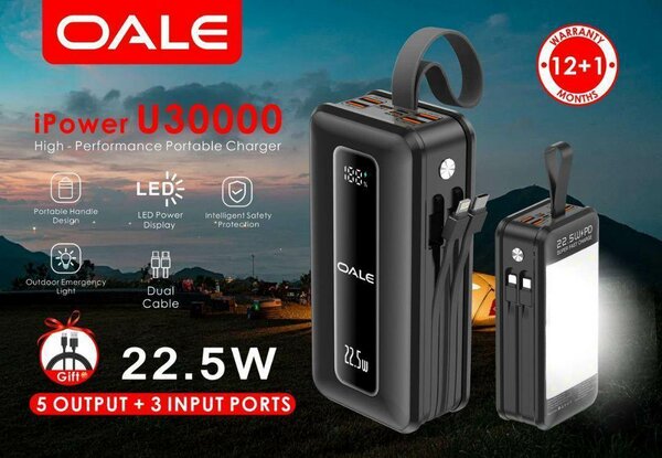 OALE iPower U30000 Charger