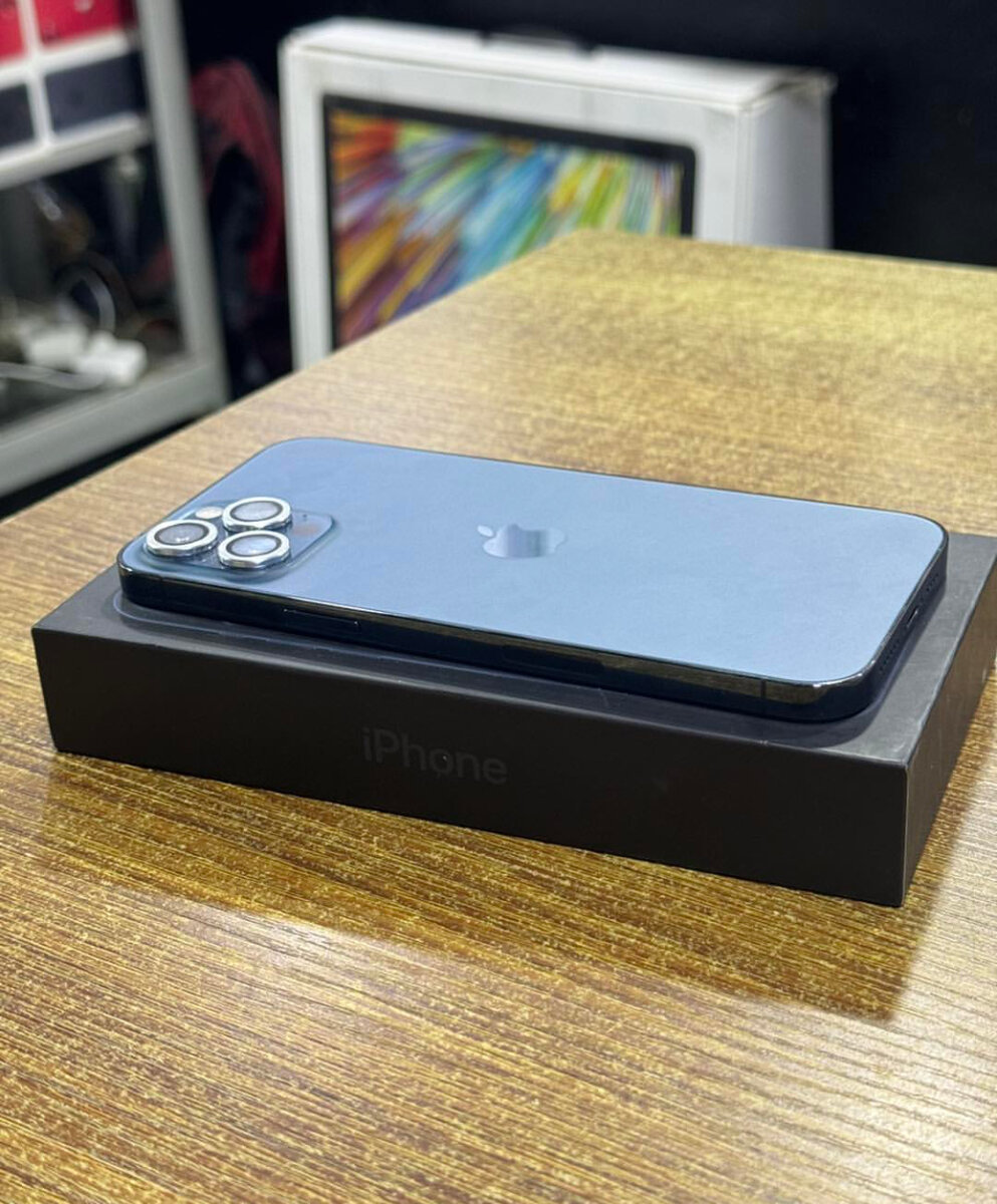 iPhone 12 Pro Max 256GB