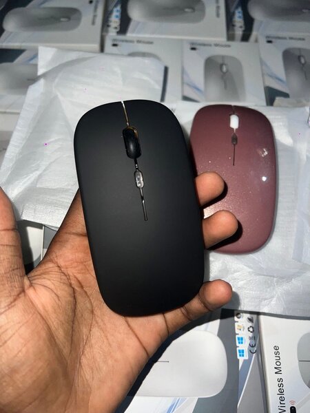 Souris sans fil élégante USB