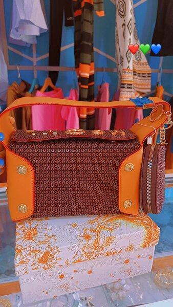 Sacs à main élégants en cuir