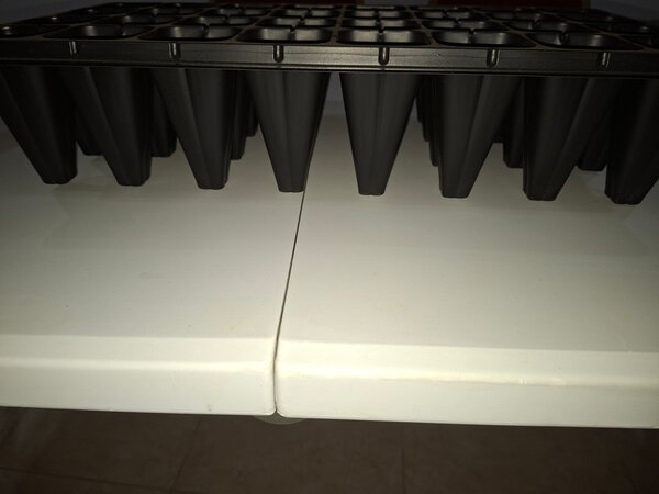 Plateau de multiplication 24 cellules