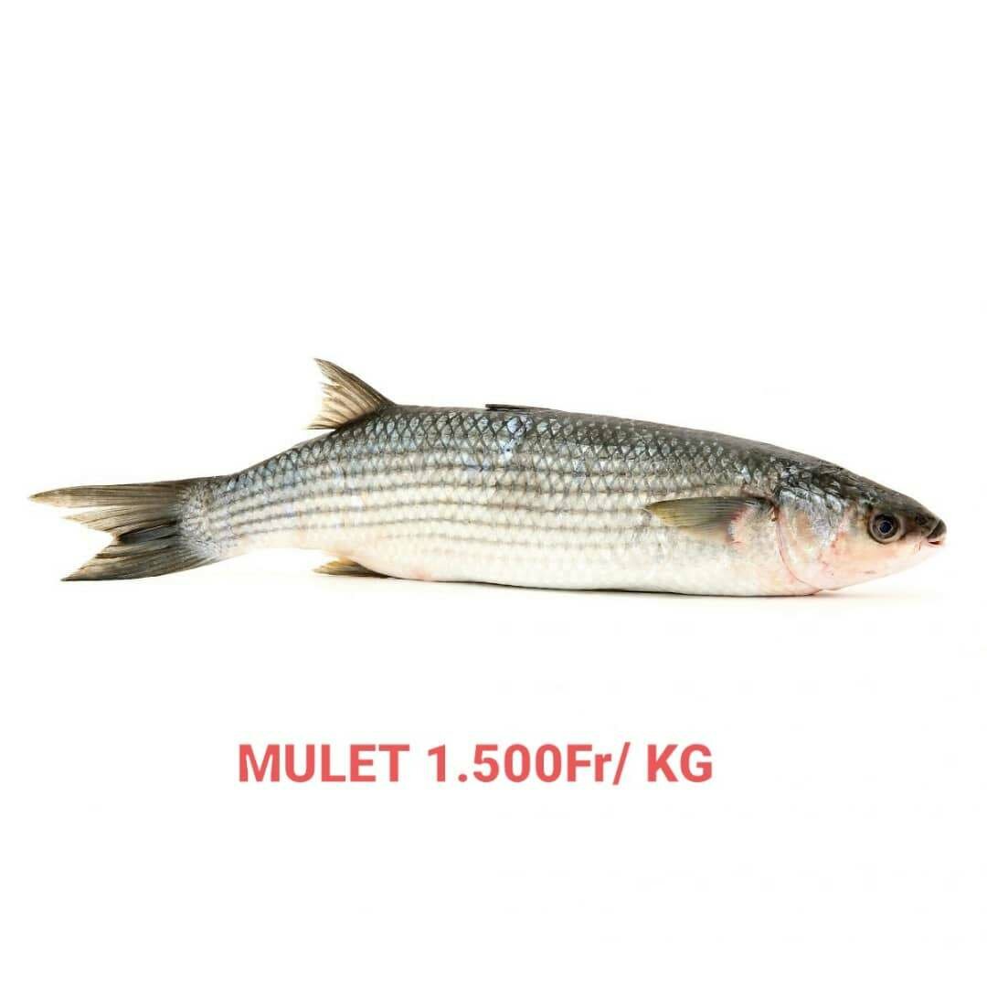 Poisson Frais à Prix Compétitif