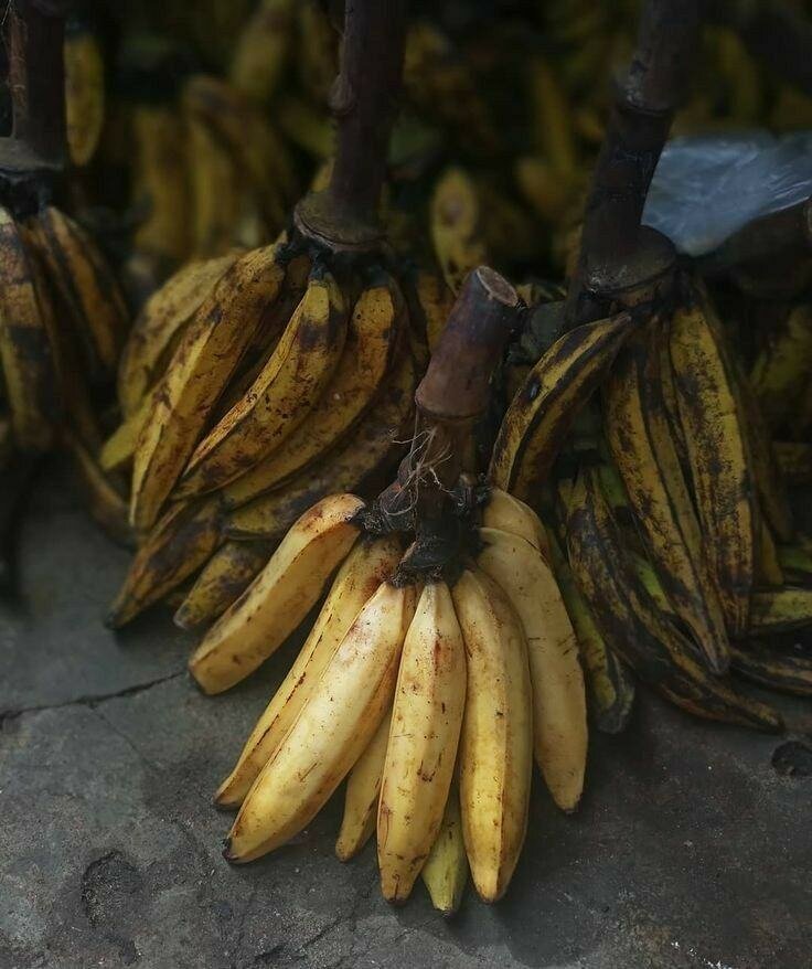 Fresh Organic Plantains