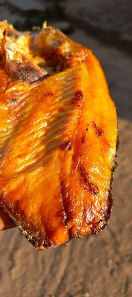 Moto moya semi dry fish