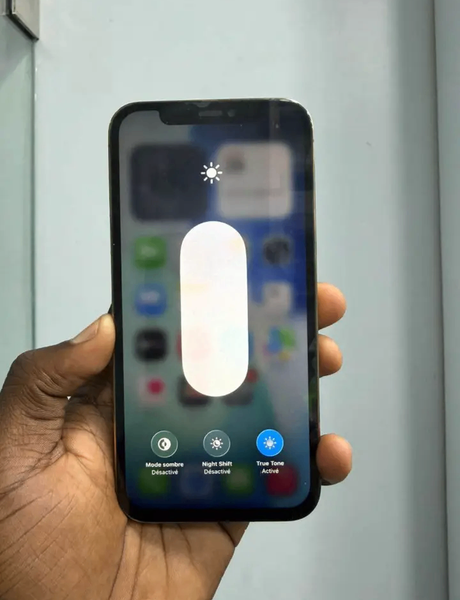 iPhone 12 Pro Max 256GB