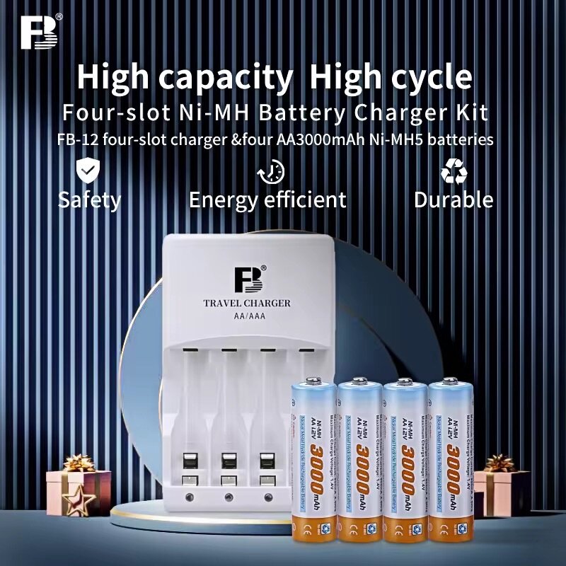 Chargeur de Piles Ni-MH 3000mAh