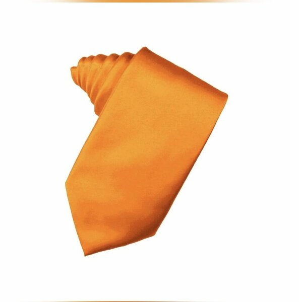 CRAVATE POUR RESPONSABLE