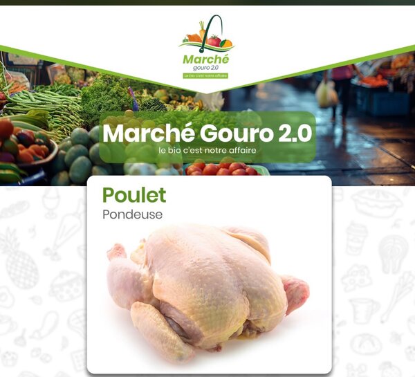 Oeufs frais biologiques