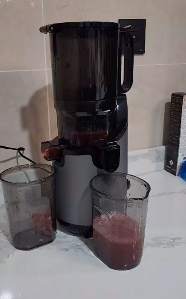 German chef slow juicer
