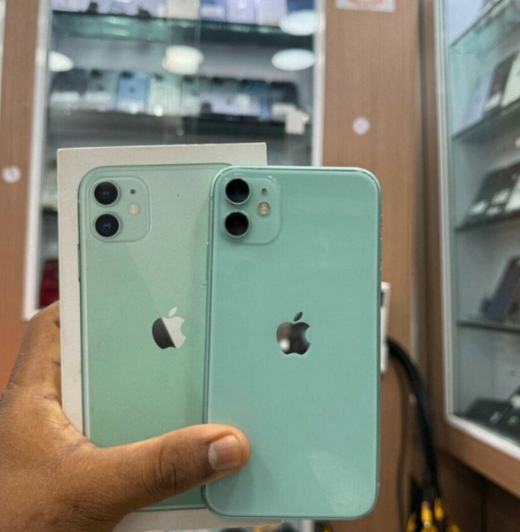 iPhone 11 Vert 64 Go