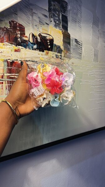 Ensemble de pinces à cheveux colorées