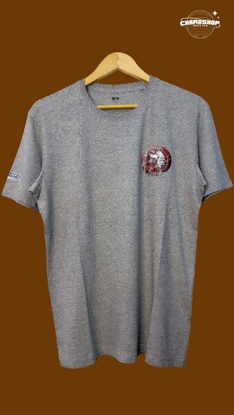 T-shirt gris "Singapore Vikings"