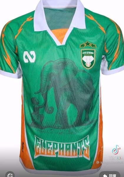 Maillot Côte d'Ivoire Éléphants