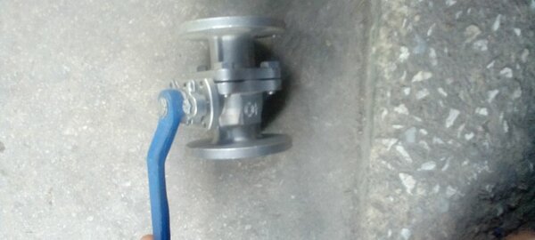 SS GATE VALVE