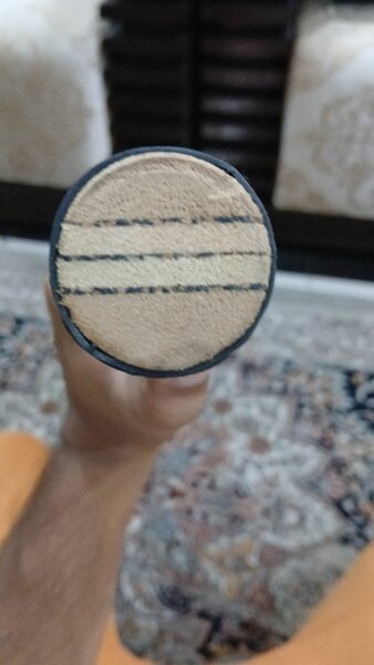 english willow hard ball professional cricket bat