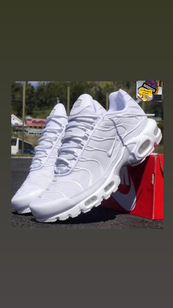 TN Blanche de qualité