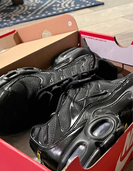 Nike Air Max Plus TN noir