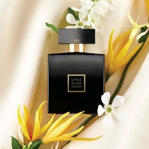 Little black dress perfume