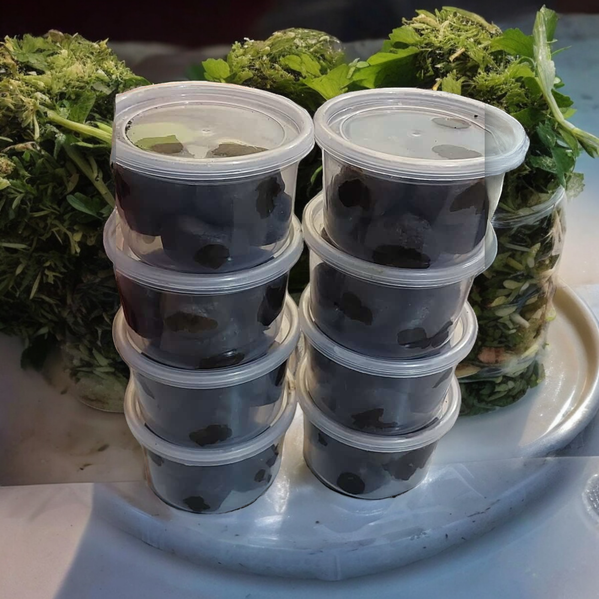 Generational Curse  Breaker,Family Curse Destroyer & Cleanse