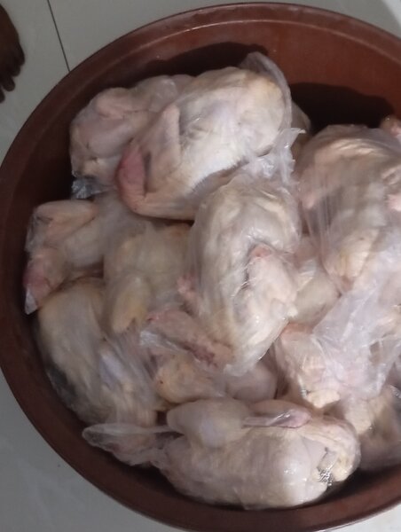 Poulet frais en gros