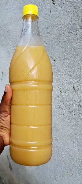 Jus de gingembre sans sucre