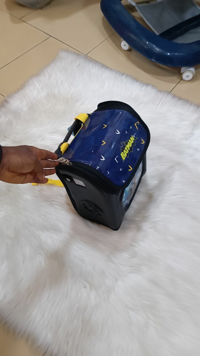 School bag/ lunch box