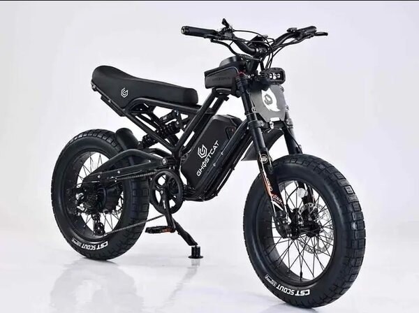 Vélo Électrique Tout-Terrain Green TDF