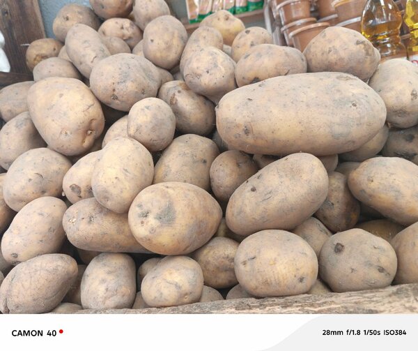 Pommes de terre fraîches