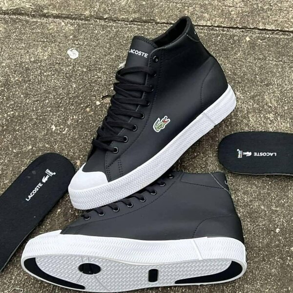 Baskets montantes Lacoste homme