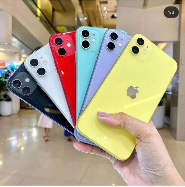 iPhone 11 Couleurs Variées