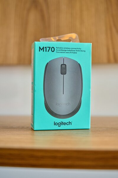 Logitec Wireless Mouse M170