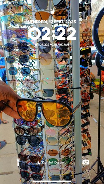 Lunettes de soleil élégantes